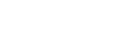kns's logo